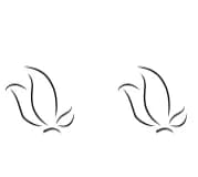 Wedding Butterfly by CraftedType Studio — Dingbats Font — thumbnail 4