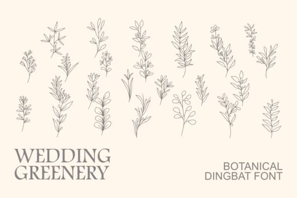 Wedding Greenery by Intype Studio — Dingbats Font