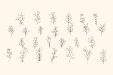 Wedding Greenery by Intype Studio — Dingbats Font — thumbnail 2