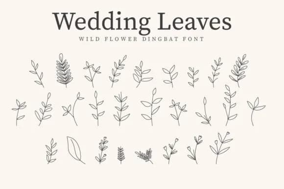 Wedding Leaves by CraftedType Studio — Dingbats Font