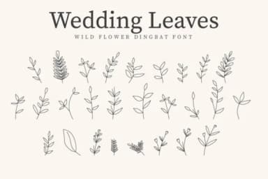 Wedding Leaves by CraftedType Studio — Dingbats Font — thumbnail 1