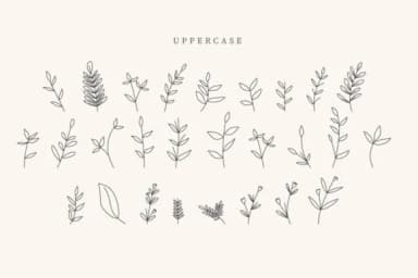 Wedding Leaves by CraftedType Studio — Dingbats Font — thumbnail 2