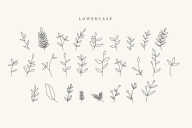 Wedding Leaves by CraftedType Studio — Dingbats Font — thumbnail 3