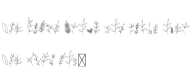 Wedding Leaves by CraftedType Studio — Dingbats Font — thumbnail 5