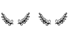 Wedding Ornaments by Apiwat Type — Dingbats Font — thumbnail 8