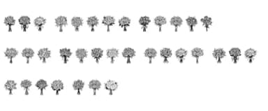 Wedding Rose Bouquet by MOMAT THIRTYONE — Dingbats Font — thumbnail 6