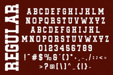 Welcome January by Almairatype Studio — Slab Serif Font — thumbnail 2