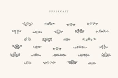 Western by CraftedType Studio — Dingbats Font — thumbnail 2