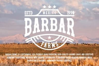 Western Christmas by Pian45 — Slab Serif Font — thumbnail 4