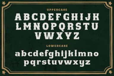 Western Hornet by pekotype — Slab Serif Font — thumbnail 3