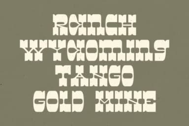 Western Sage by Dikas Studio — Slab Serif Font — thumbnail 2