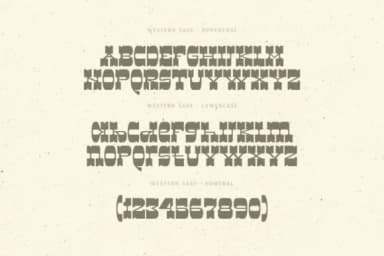 Western Sage by Dikas Studio — Slab Serif Font — thumbnail 3