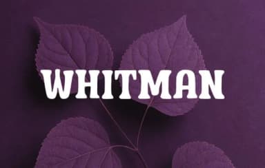 Whitman by OliviaFontCo — Slab Serif Font — thumbnail 1