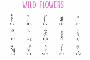 Wild Flowers by Nongyao — Dingbats Font — thumbnail 2