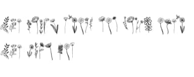 Wild Flowers by Nongyao — Dingbats Font — thumbnail 8