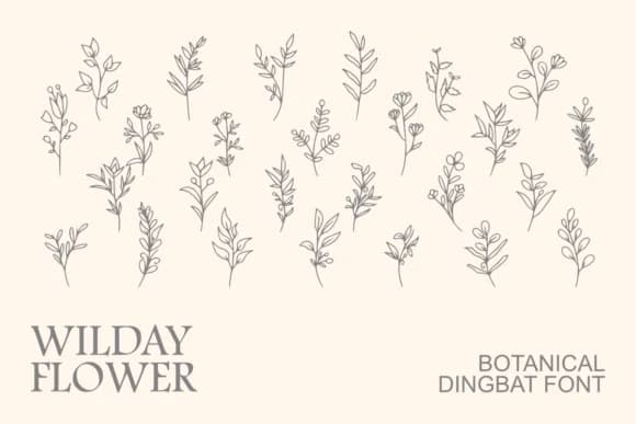 Wilday Flower by Intype Studio — Dingbats Font