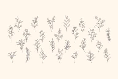 Wilday Flower by Intype Studio — Dingbats Font — thumbnail 2