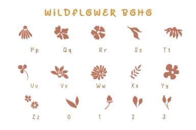Wildflowers Boho by Pui Art — Dingbats Font — thumbnail 8
