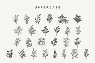 Wildplants by Letterayu — Dingbats Font — thumbnail 2