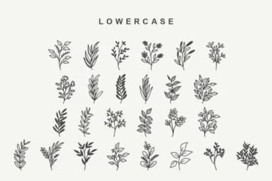 Wildplants by Letterayu — Dingbats Font — thumbnail 3