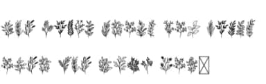 Wildplants by Letterayu — Dingbats Font — thumbnail 5
