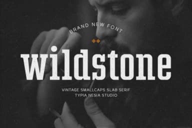Wildstone by Typia Nesia — Slab Serif Font — thumbnail 1