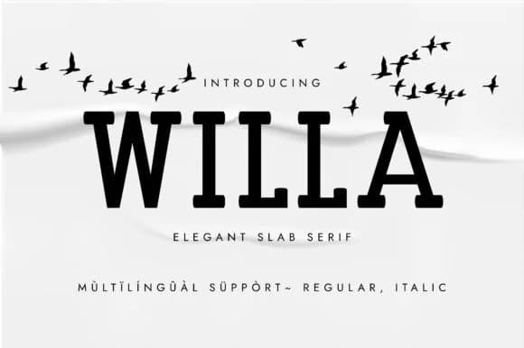 Willa by Minimalistartstudio — Slab Serif Font