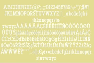 Willa by Minimalistartstudio — Slab Serif Font — thumbnail 4