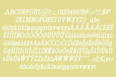 Willa by Minimalistartstudio — Slab Serif Font — thumbnail 5