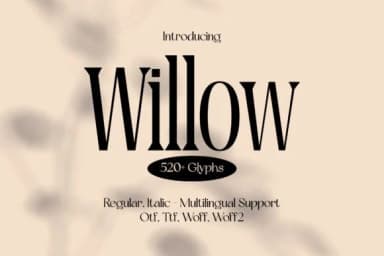Willow by Minimalistartstudio — Slab Serif Font — thumbnail 1