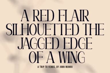 Willow by Minimalistartstudio — Slab Serif Font — thumbnail 5