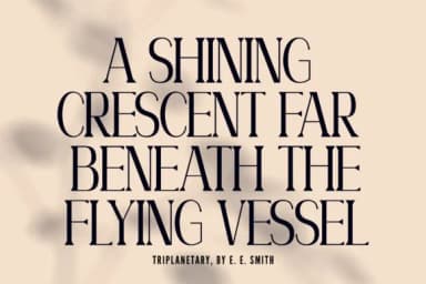 Willow by Minimalistartstudio — Slab Serif Font — thumbnail 6