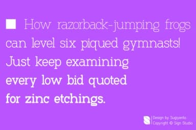 Willpower by Sign Studios — Slab Serif Font — thumbnail 2