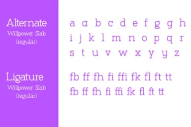 Willpower by Sign Studios — Slab Serif Font — thumbnail 7