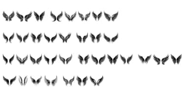 Wings Flutter Freely by MOMAT THIRTYONE — Dingbats Font — thumbnail 6