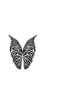 Wings of Freedom by MOMAT THIRTYONE — Dingbats Font — thumbnail 3