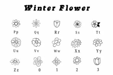 Winter Flower by Suphitchaya — Dingbats Font — thumbnail 3