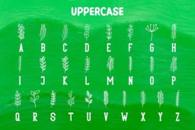 Winter Leaf by Pian45 — Dingbats Font — thumbnail 2