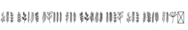 Winter Leaf by Pian45 — Dingbats Font — thumbnail 5