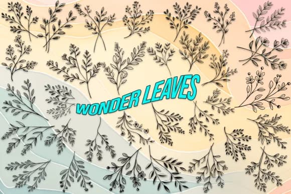 Wonder Leaves by MOMAT THIRTYONE — Dingbats Font