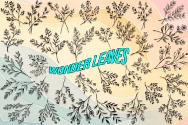 Wonder Leaves by MOMAT THIRTYONE — Dingbats Font — thumbnail 1