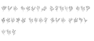 Wonder Leaves by MOMAT THIRTYONE — Dingbats Font — thumbnail 6