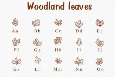 Woodland Leaves by Nongyao — Dingbats Font — thumbnail 2