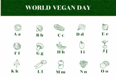 World Vegan Day by Apiwat Type — Dingbats Font — thumbnail 2