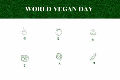 World Vegan Day by Apiwat Type — Dingbats Font — thumbnail 4