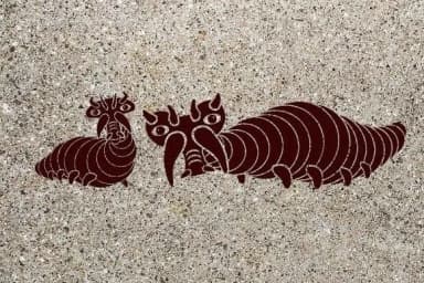 Wurm by vladimirnikolic — Dingbats Font — thumbnail 3