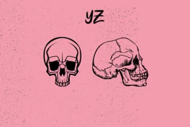 X Skull X by Minimalistartstudio — Dingbats Font — thumbnail 5