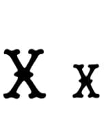 Xeranthemum by OliviaFontCo — Slab Serif Font — thumbnail 4