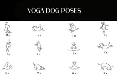 Yoga Dog Poses by Heartcraft Atelier — Dingbats Font — thumbnail 3