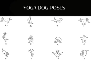Yoga Dog Poses by Heartcraft Atelier — Dingbats Font — thumbnail 4